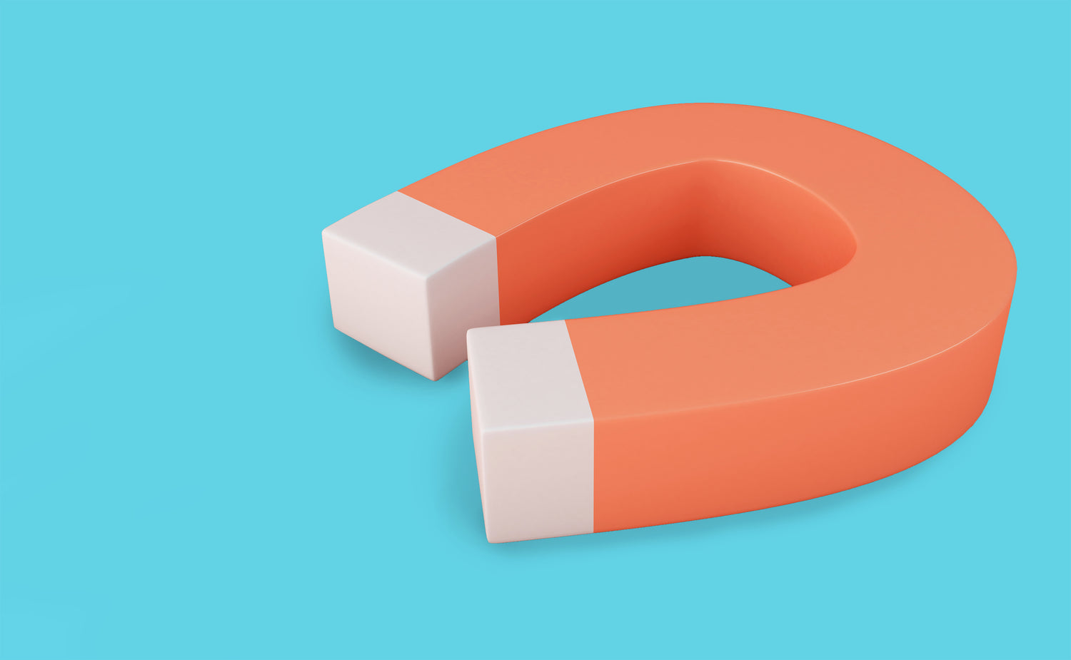 A magnet