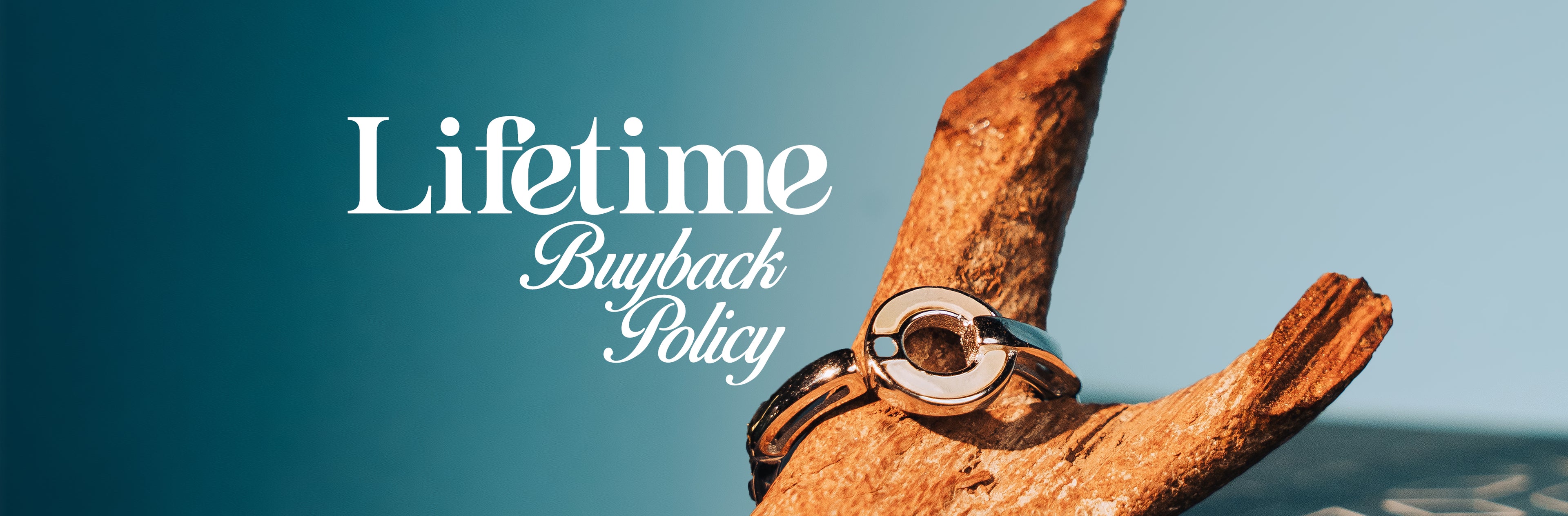 Lifetime buyback policy website banner